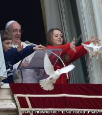 «Голубей мира» Папы Римского атаковали чайка и черный ворон