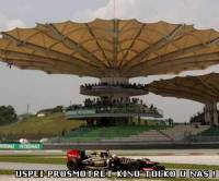 Формула 1. Гран При Малайзии 28, 29, 30 марта 2014